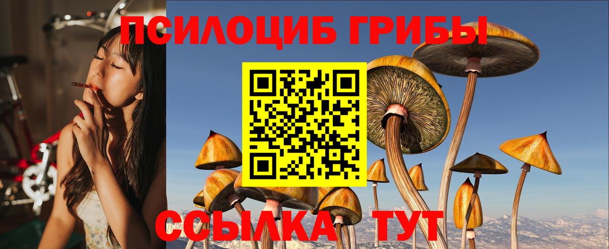 Сафоново  Галлюциногенные грибы мухоморы  Вход с VPN 